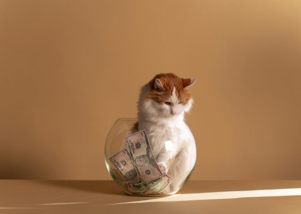 Dollar for you