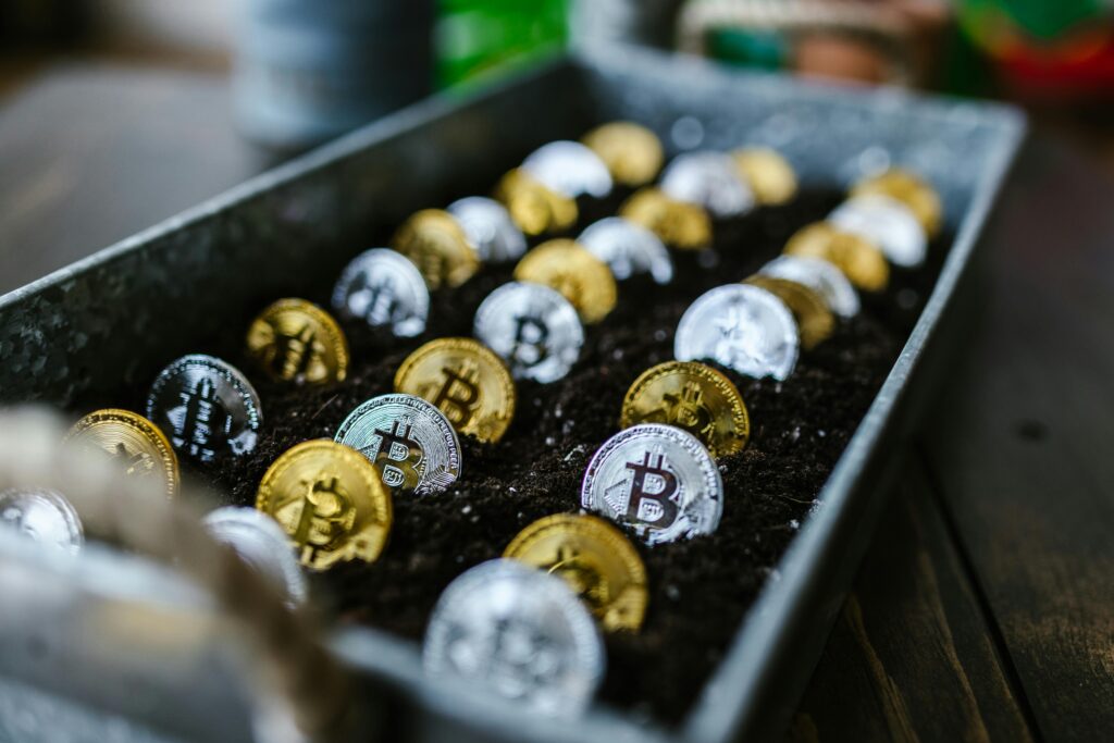 pexels-rdne-8369687-1-1024x683 Crypto FOMO Is Real in 2025: How to Invest Smart at All-Time Highs