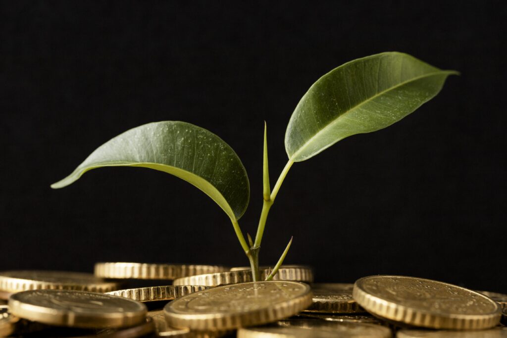 front-view-plant-growing-from-coins-1-1024x683 What Is Digital Gold and Why It’s the Future of Wealth